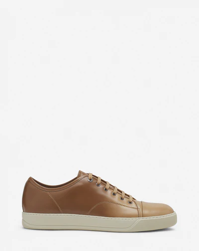 DBB1 GRADATION LEATHER SNEAKERS | Camel/Beige